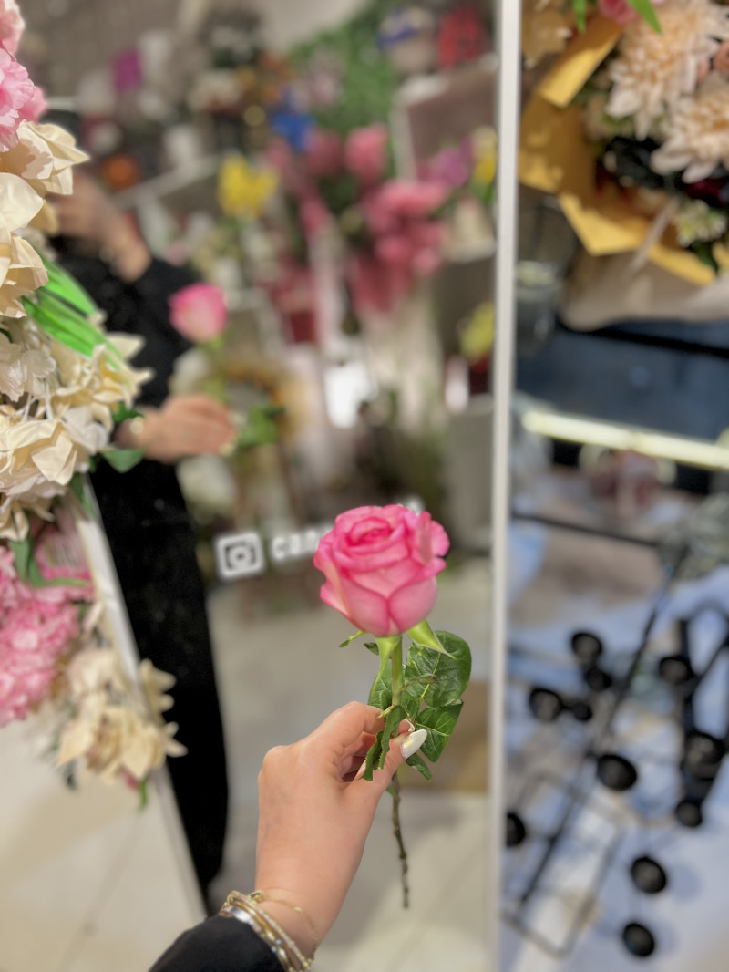 Tek adet pembe gül