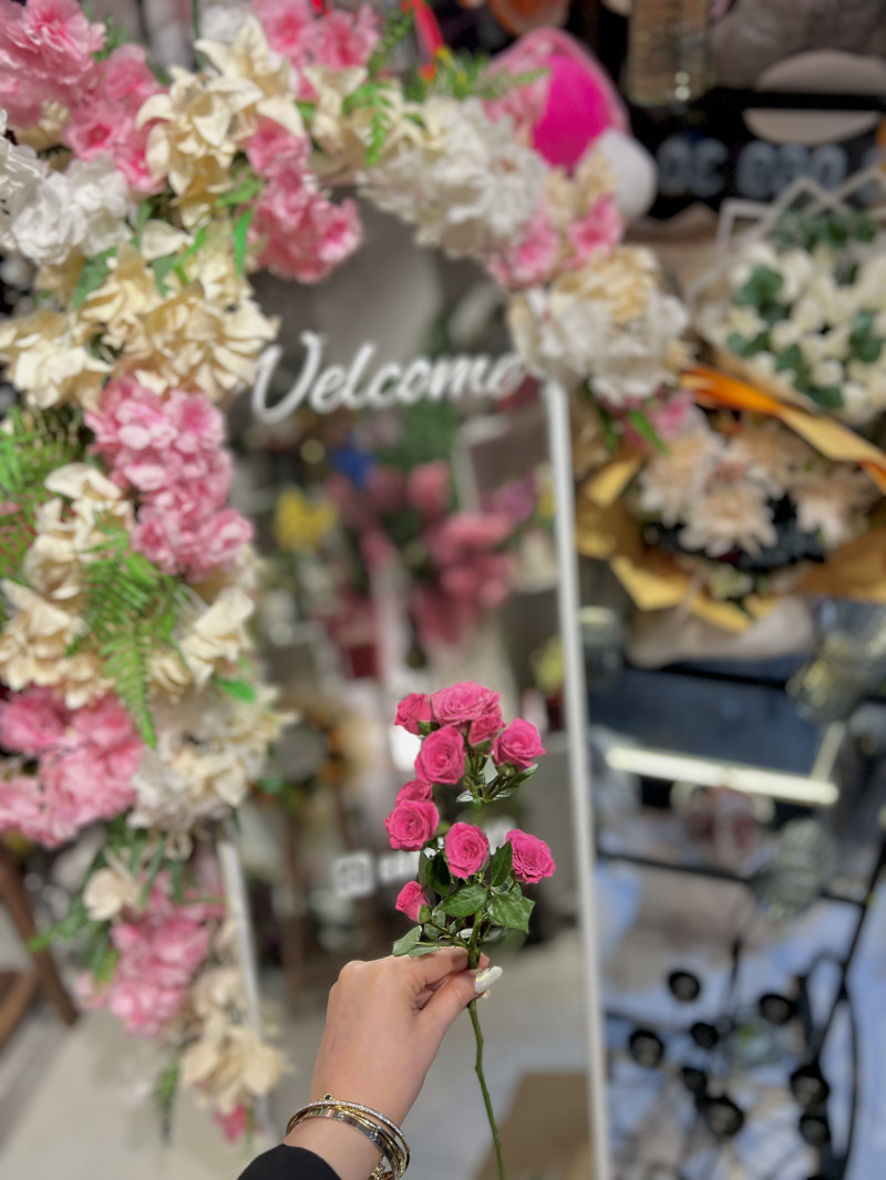 Tek adet pembe çardak gül