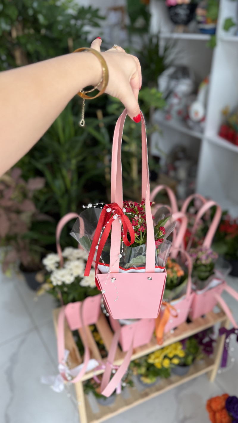 Çantada Kalanchoe 